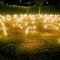 a group of lights that are in the grass