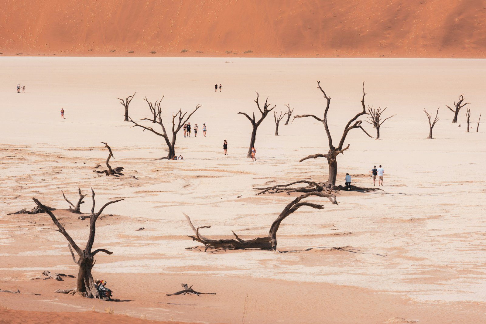 a group of people walking on a beach