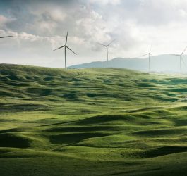 wind turbine surrounded by grass