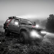 grayscale photography of SUV near forest