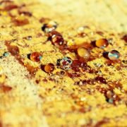 a close up of water droplets on a surface